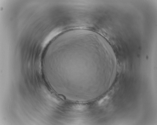 X0000088230198200706051356