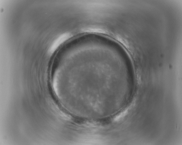 X0000088230199200706051356