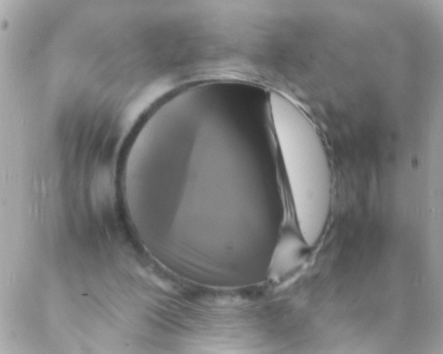 X0000088230200200706051356