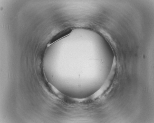 X0000088230201200706051356