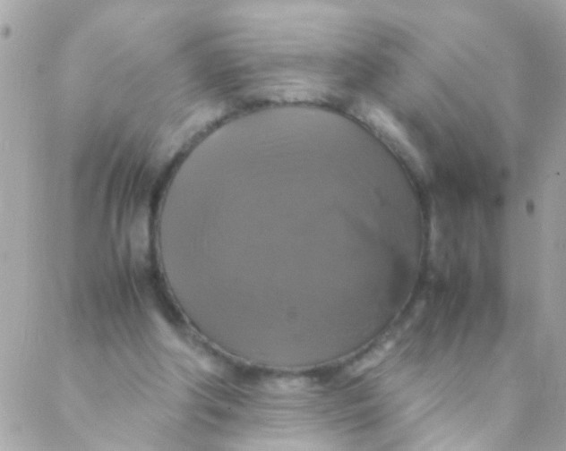 X0000088230202200706051356