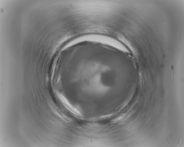 X0000088230203200706051356