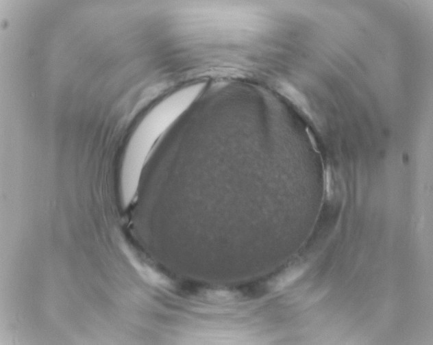 X0000088230205200706051356