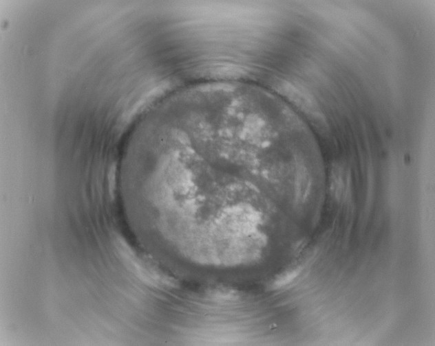 X0000088230206200706051356