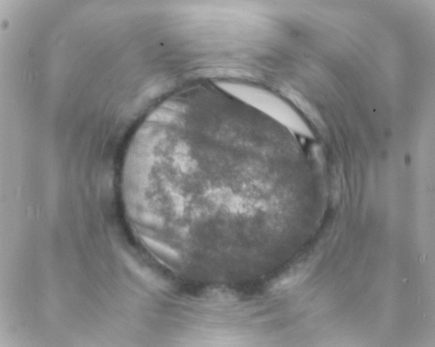 X0000088230207200706051356