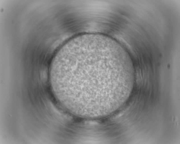 X0000088230208200706051356