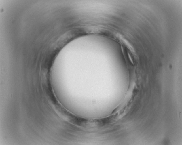 X0000088230209200706051356