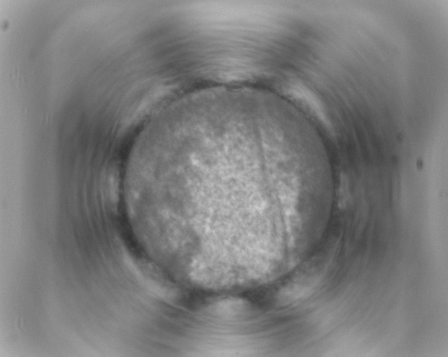 X0000088230210200706051356