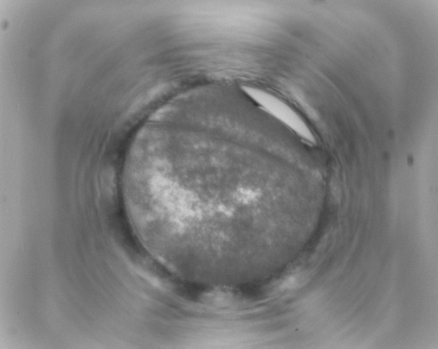 X0000088230211200706051356