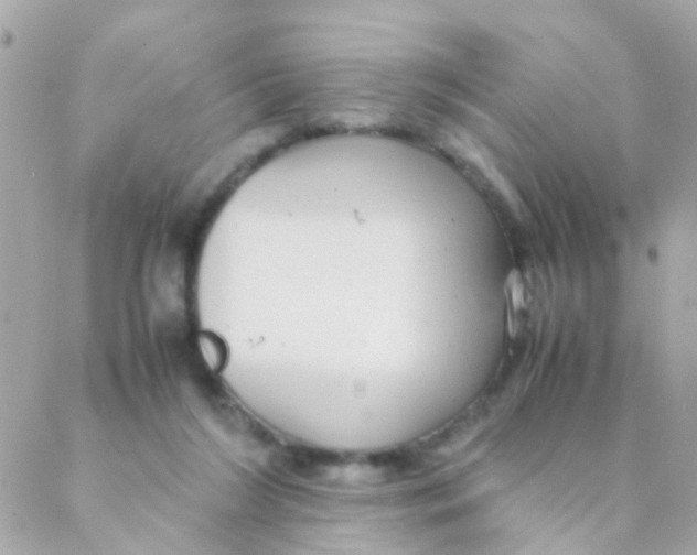 X0000088230212200706051356