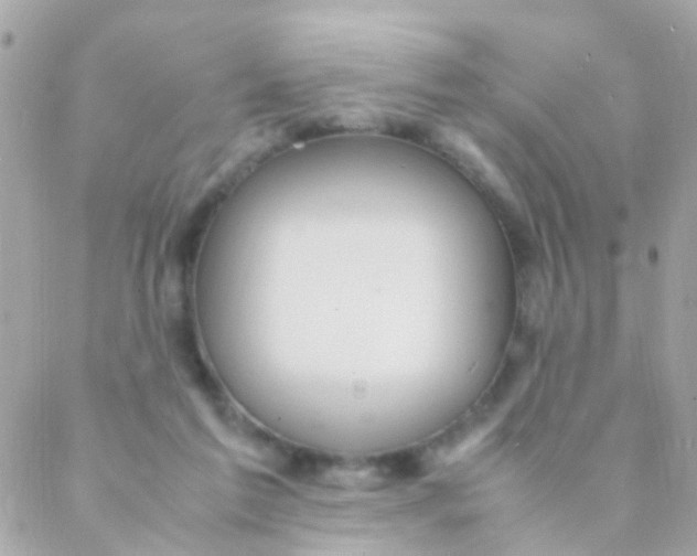 X0000088230213200706051356