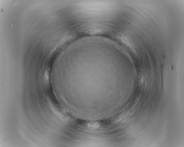 X0000088230214200706051356