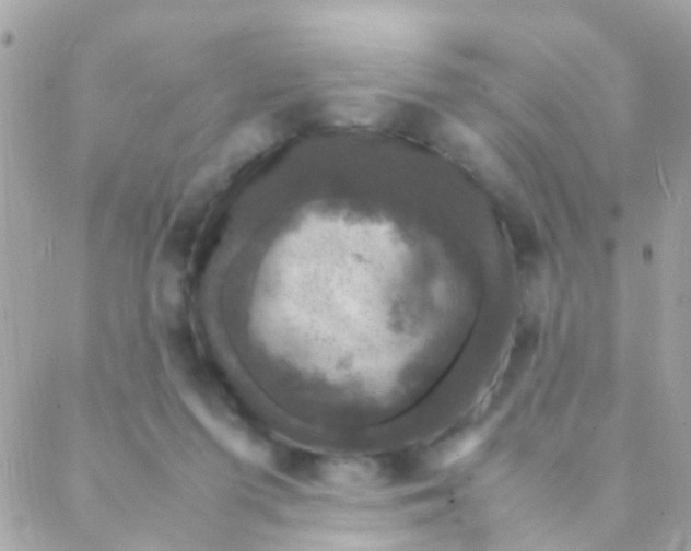 X0000088230215200706051356