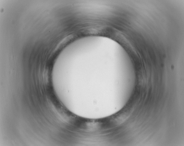 X0000088230216200706051356