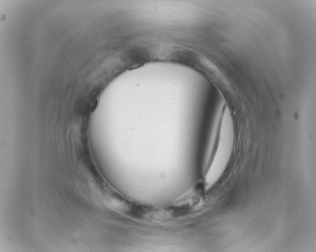 X0000088230217200706051356