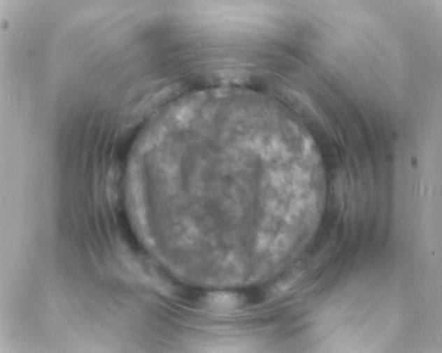 X0000088230218200706051356