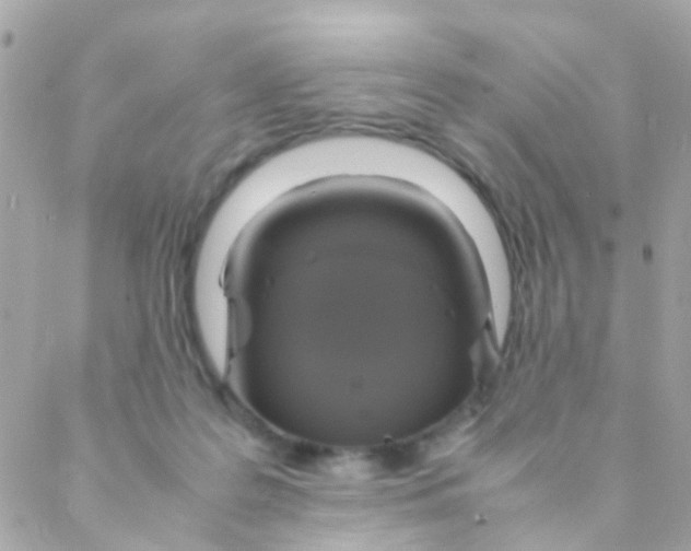 X0000088230219200706051356