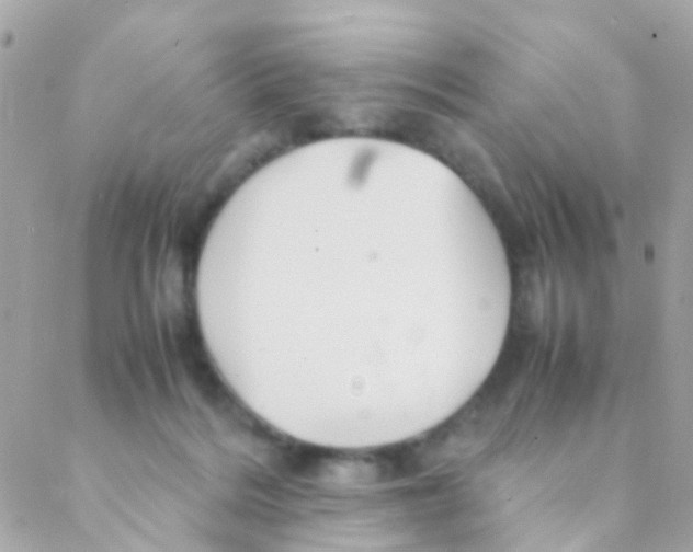 X0000088230220200706051356