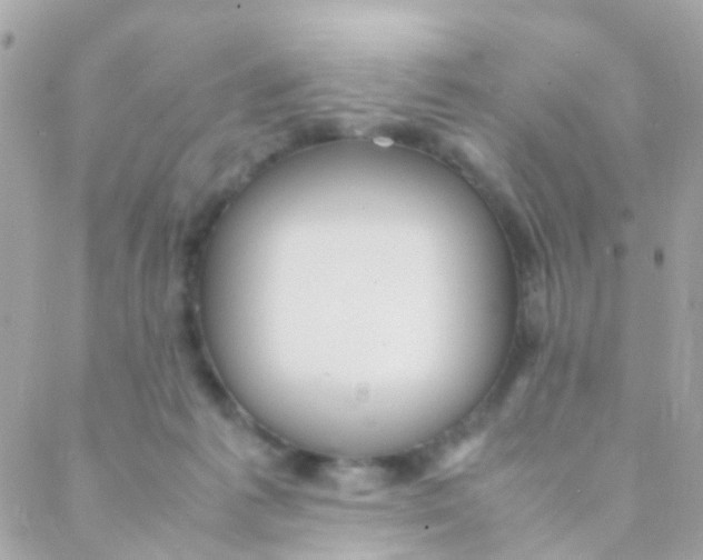 X0000088230221200706051356