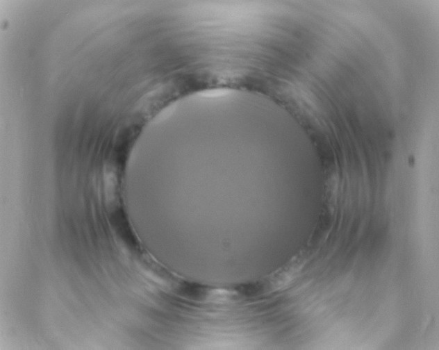 X0000088230222200706051356