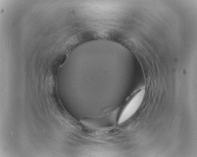 X0000088230223200706051356