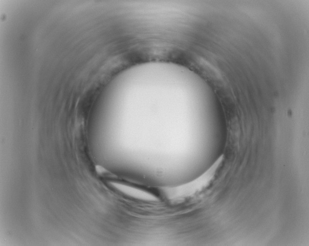 X0000088230225200706051356