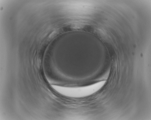 X0000088230227200706051356