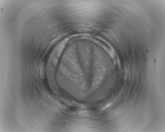 X0000088230228200706051356