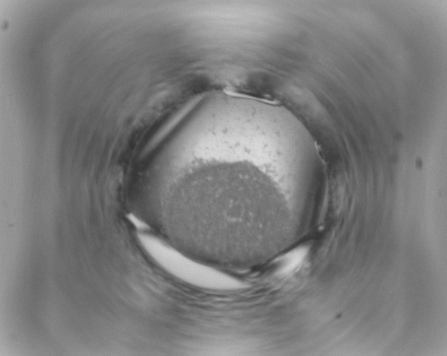 X0000088230229200706051356