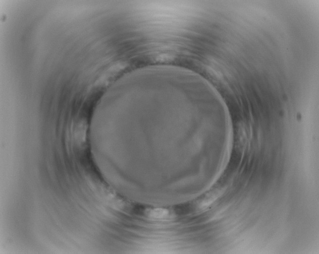 X0000088230230200706051356