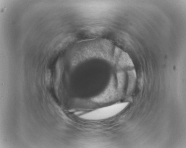 X0000088230231200706051356