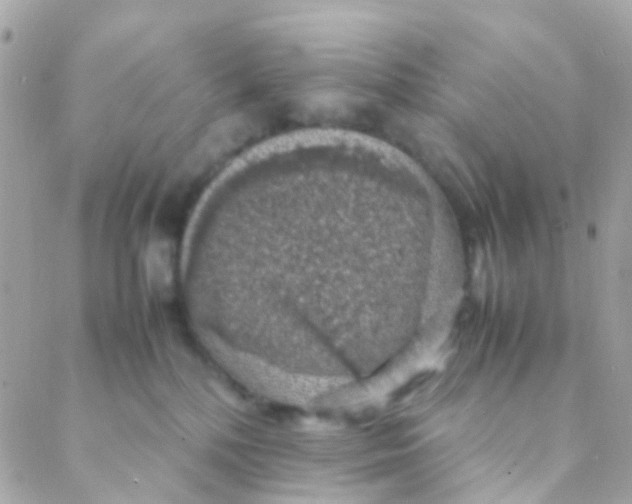 X0000088230232200706051356