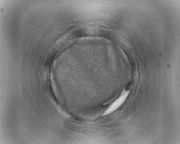 X0000088230233200706051356