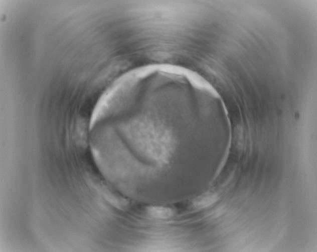 X0000088230234200706051356