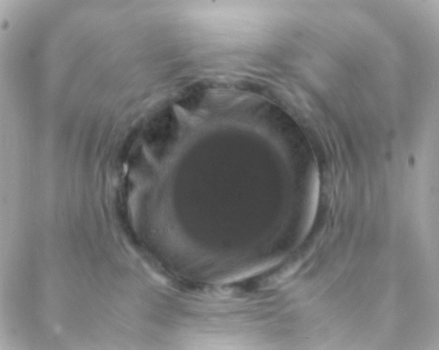 X0000088230235200706051356