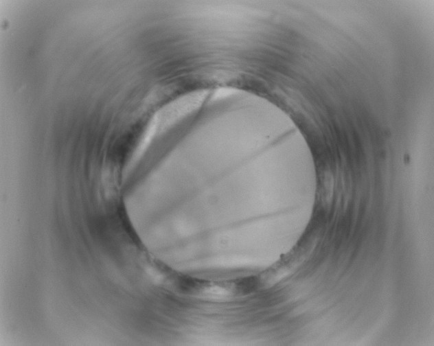 X0000088230236200706051356