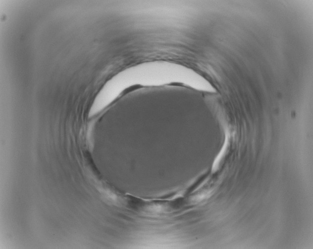 X0000088230237200706051356