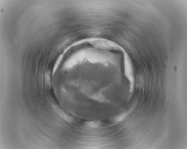 X0000088230238200706051355