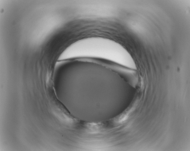 X0000088230239200706051355