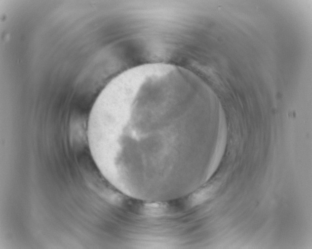 X0000088230240200706051355