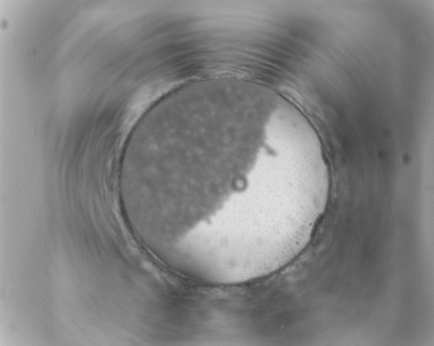 X0000088230241200706051355