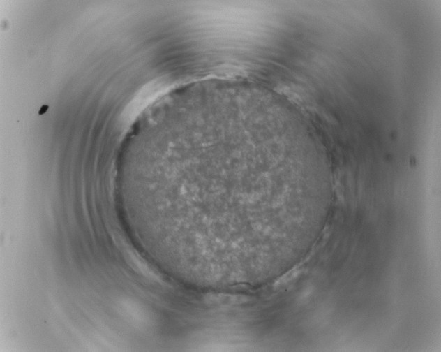 X0000088230242200706051355