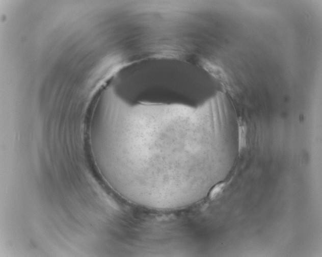 X0000088230243200706051355