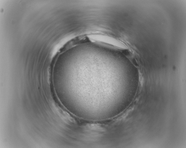 X0000088230244200706051355