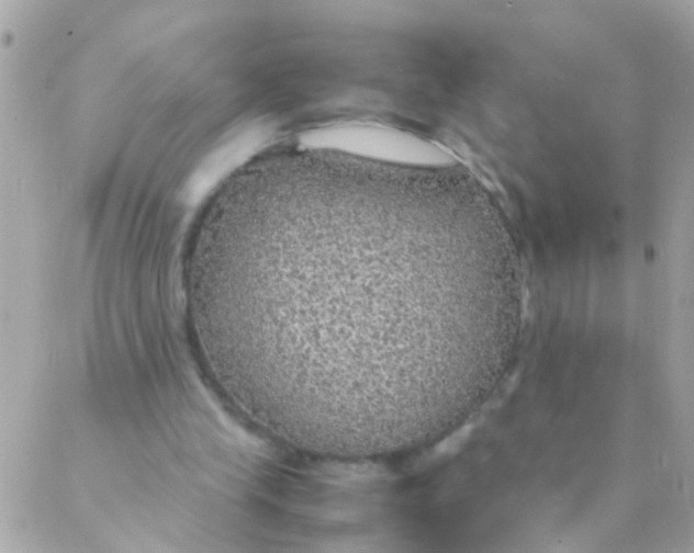 X0000088230245200706051355