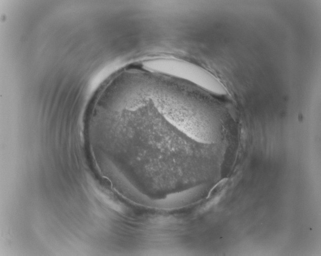 X0000088230246200706051355