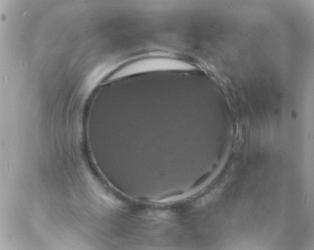 X0000088230247200706051355