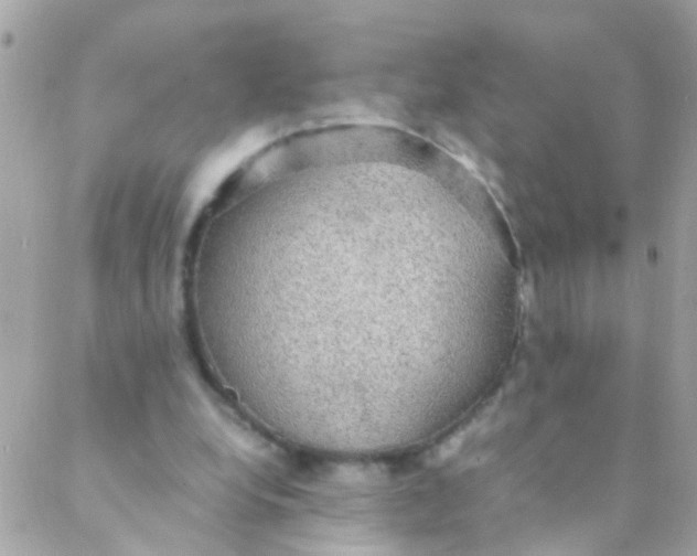 X0000088230248200706051355