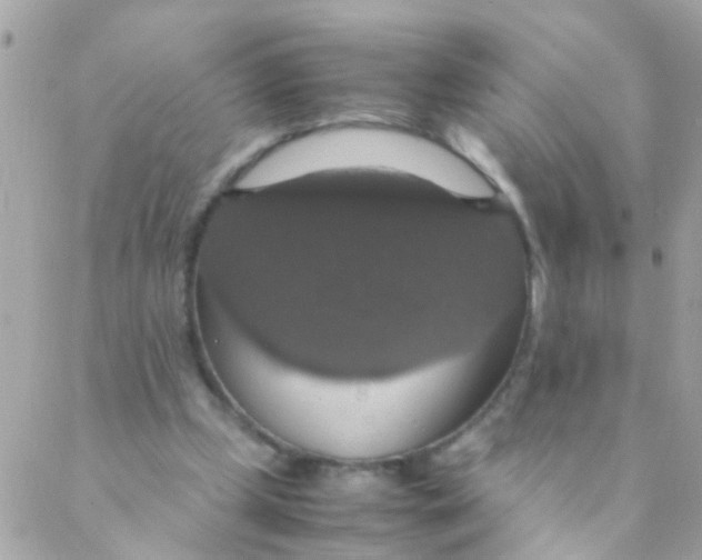 X0000088230249200706051355