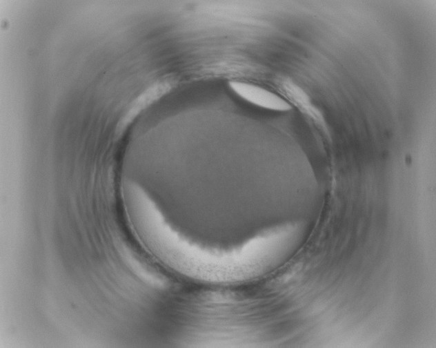 X0000088230250200706051355